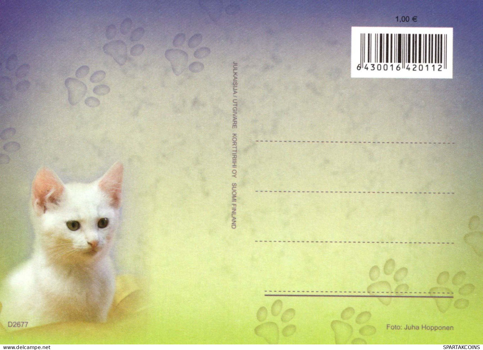 CAT KITTY Animals Vintage Postcard CPSM #PBQ818.A - Chats