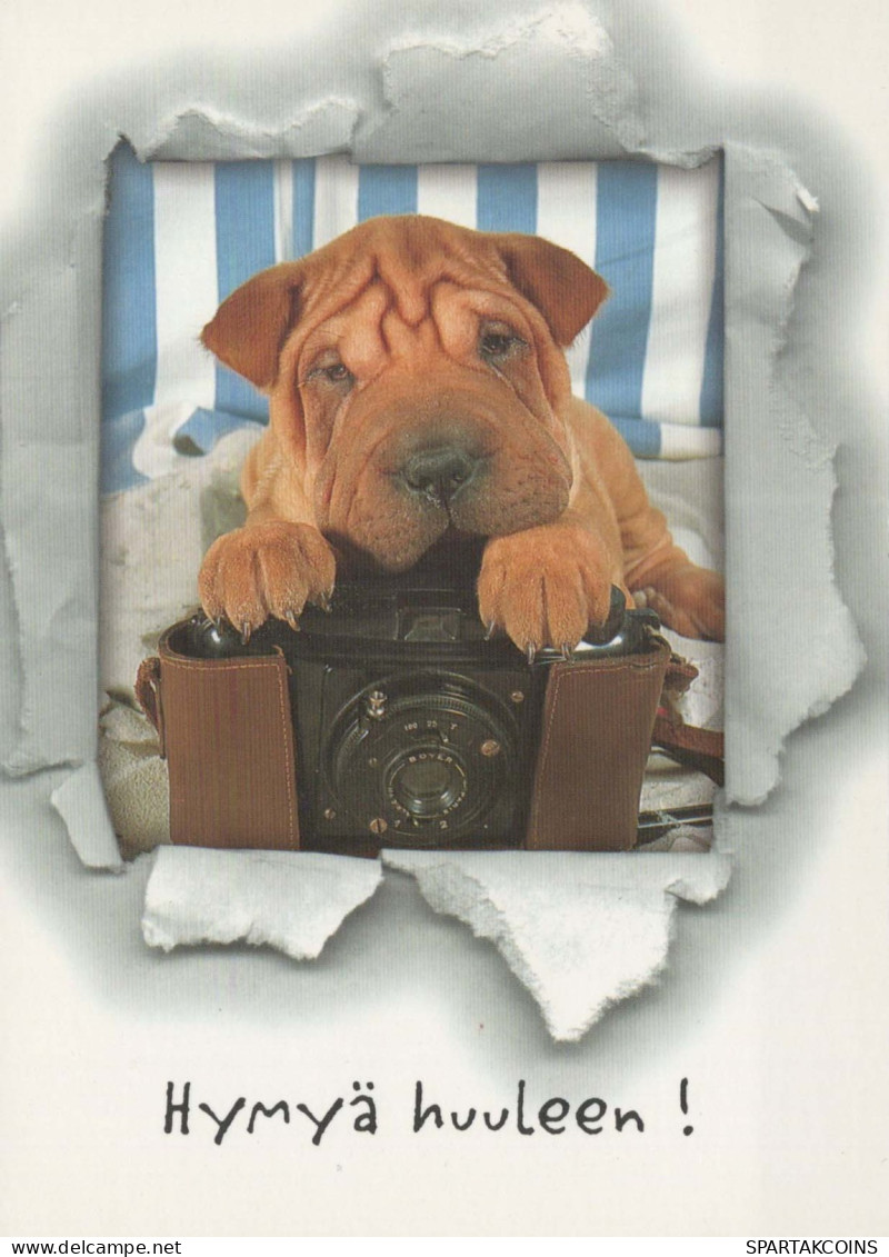DOG Animals Vintage Postcard CPSM #PBQ408.A - Chiens