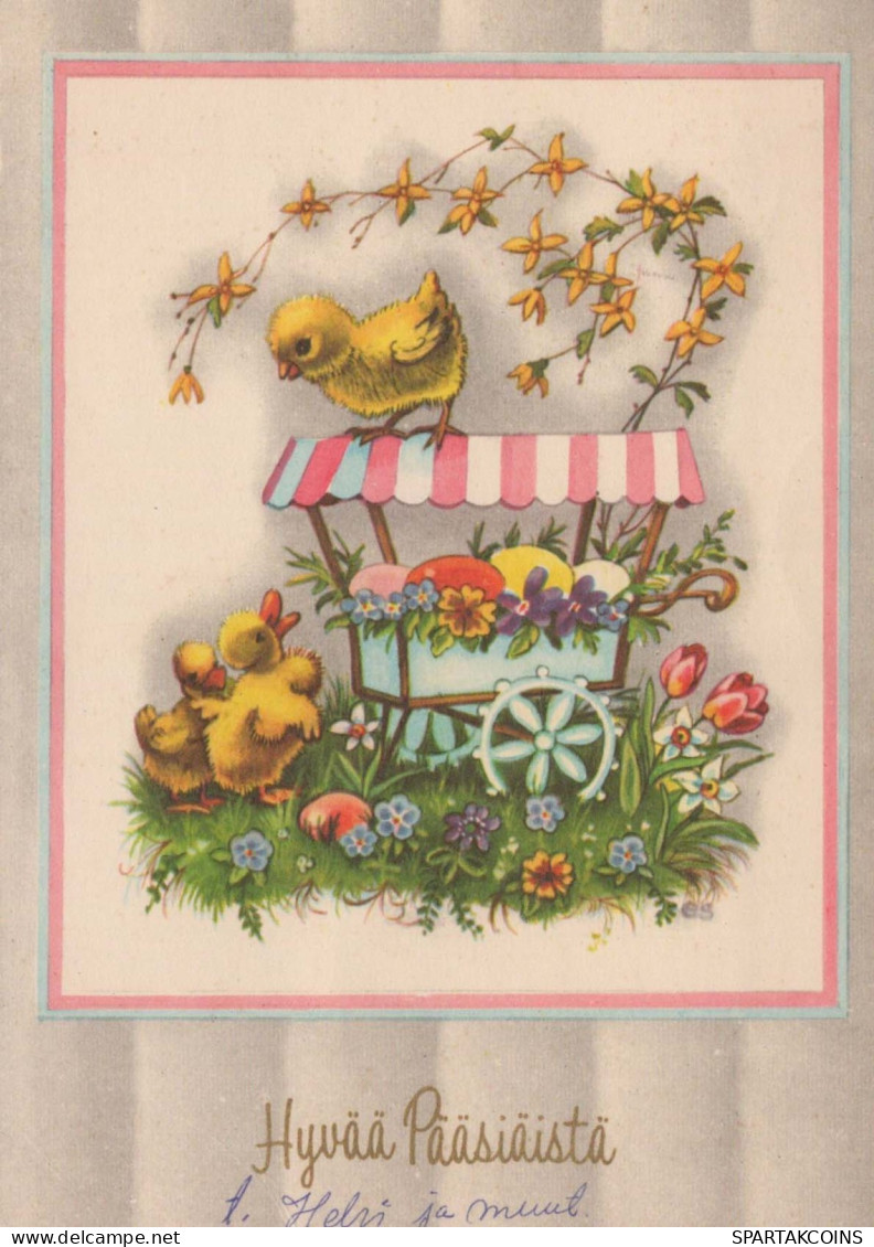 PÂQUES POULET ŒUF Vintage Carte Postale CPSM #PBO704.A - Ostern