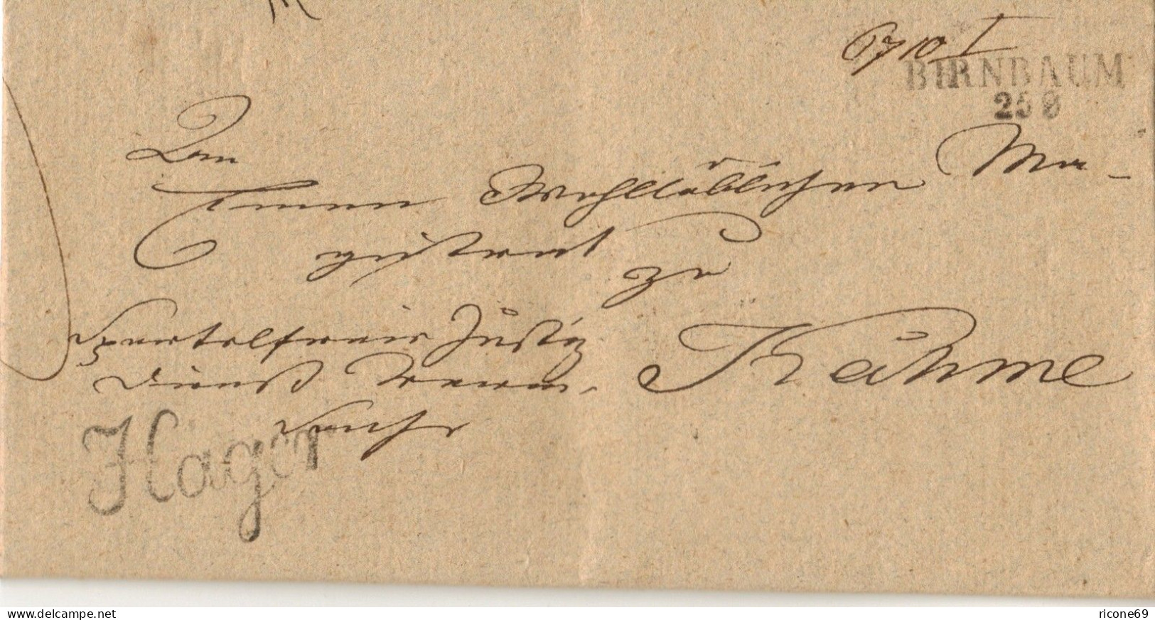 Preussen 1841, L2 Birnbaum (Polen) U. Beamtenstempel Auf  Dienst Brief. #897 - Vorphilatelie
