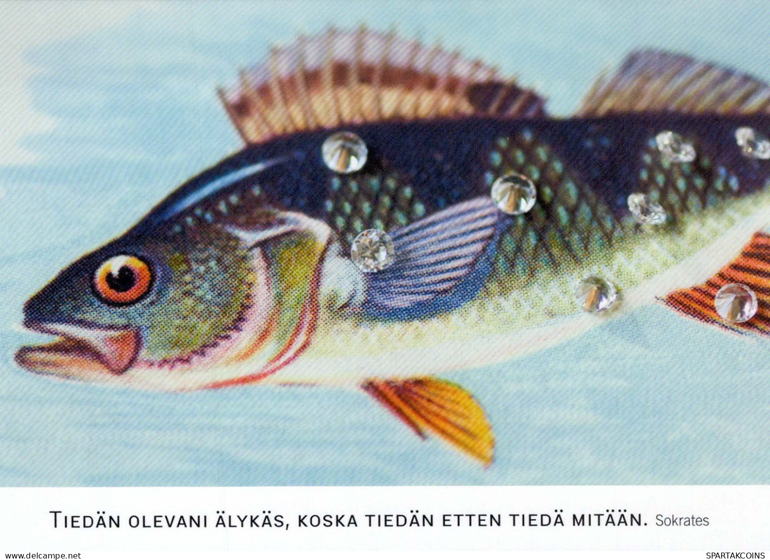 PESCADO Animales Vintage Tarjeta Postal CPSM #PBS866.A - Fish & Shellfish