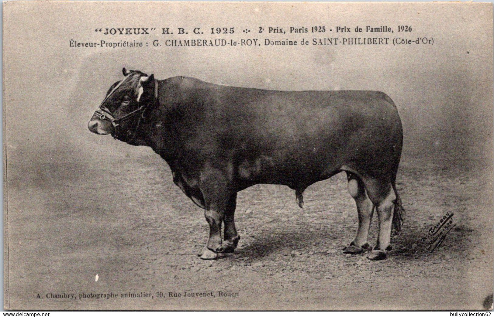 SELECTION -  SAINT PHILIBERT  -  éleveur Propriétaire G-CHAMBERAUD Le ROY " Joyeux " 1925 2e Prix à Paris - Autres & Non Classés