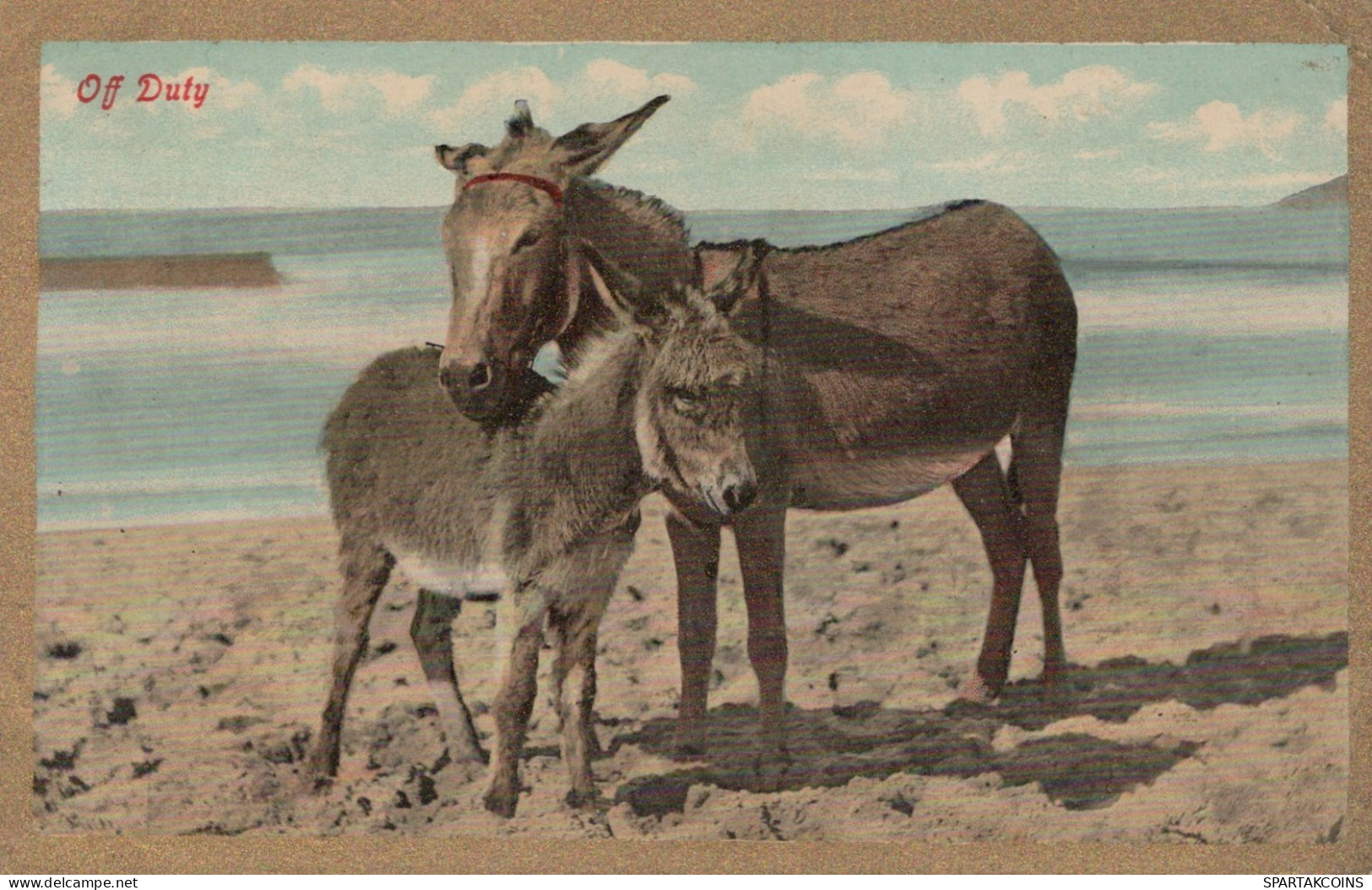 ÂNE Animaux Vintage Antique CPA Carte Postale #PAA208.A - Esel