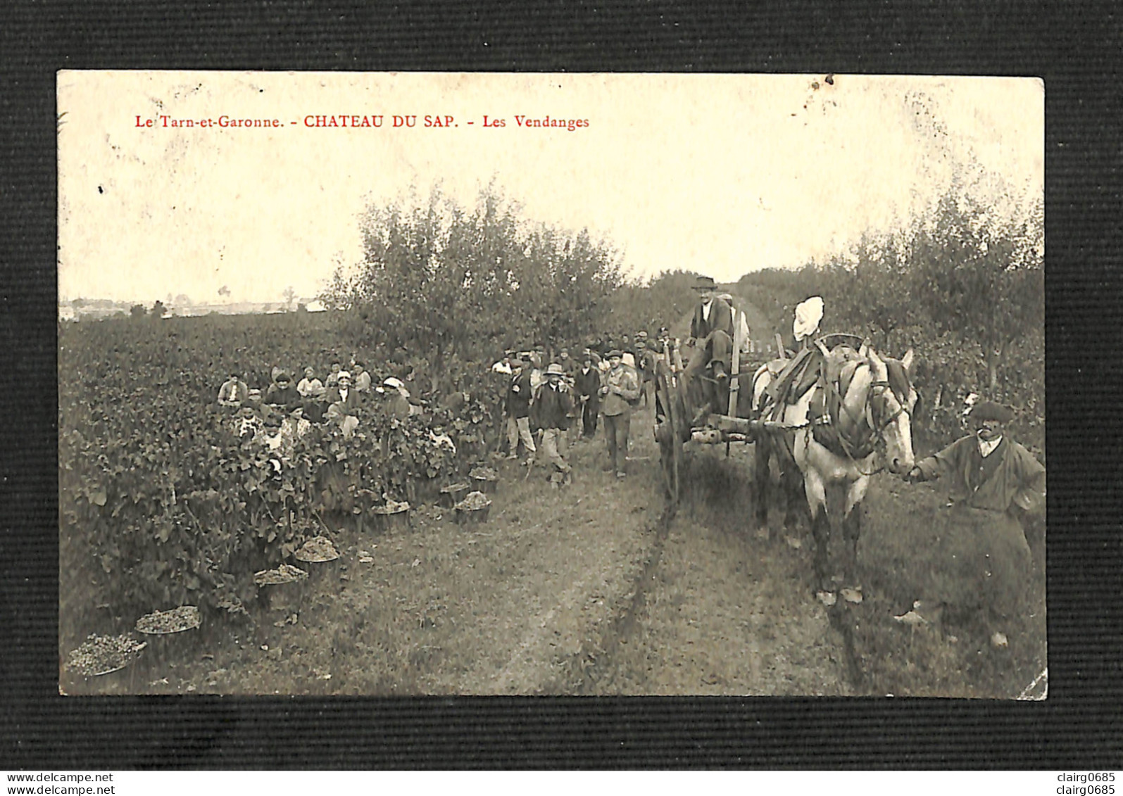 82 - CHATEAU DU SAP - Les Vendanges - Alfred GERIN - 1905 - RARE - Sonstige & Ohne Zuordnung