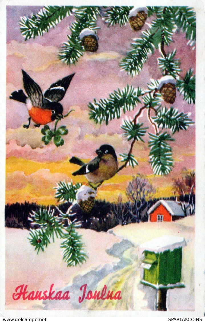 BIRD Vintage Postcard CPSMPF #PKG959.A - Oiseaux