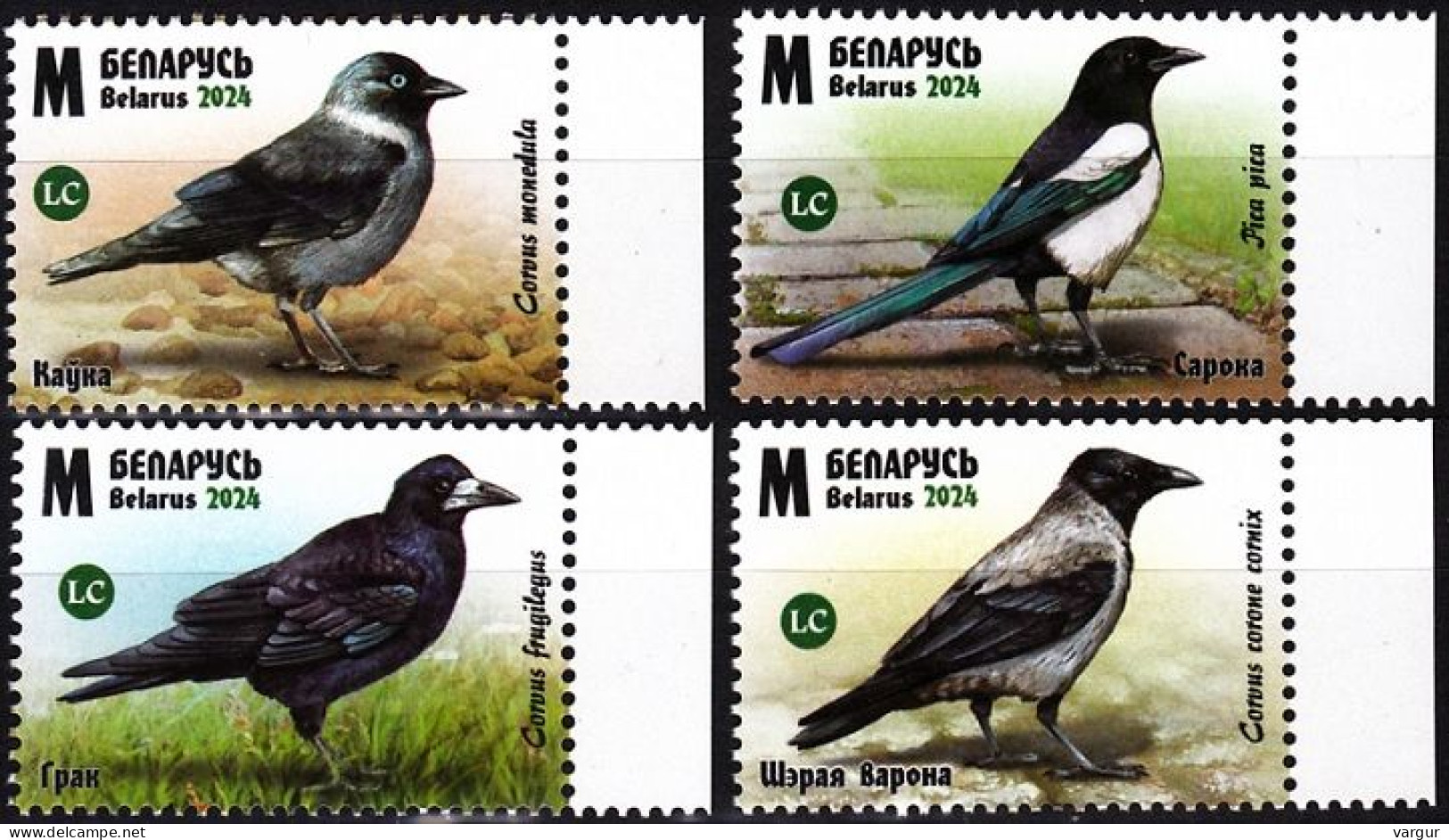 BELARUS 2024-08 FAUNA Animals Birds: Corvids. Crow Magpie Etc., MNH - Ferme