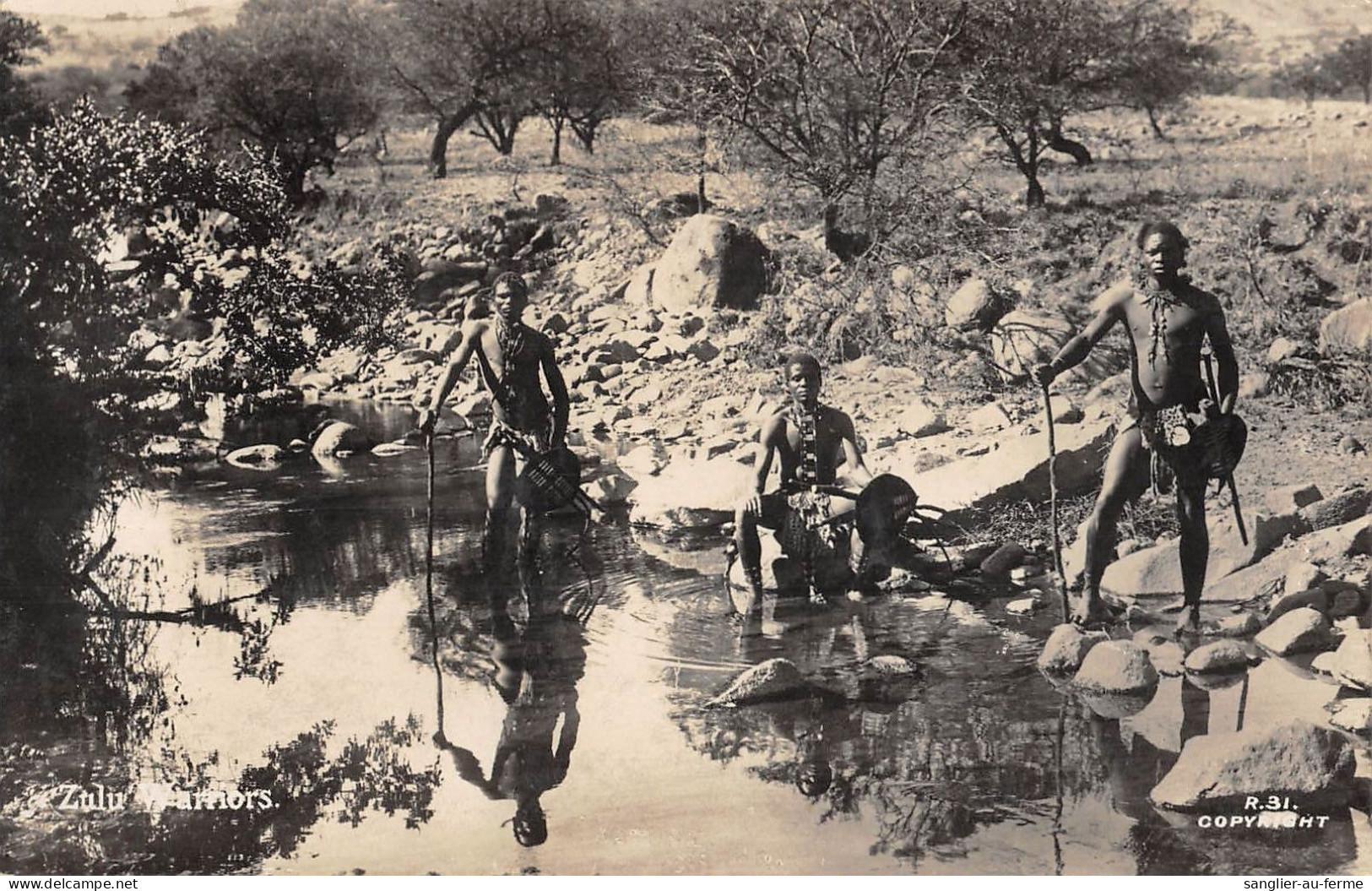 CPA / AFRIQUE DU SUD / CPA ETHNIQUE / ZULU WARRIORS / AFRICAINS - Südafrika