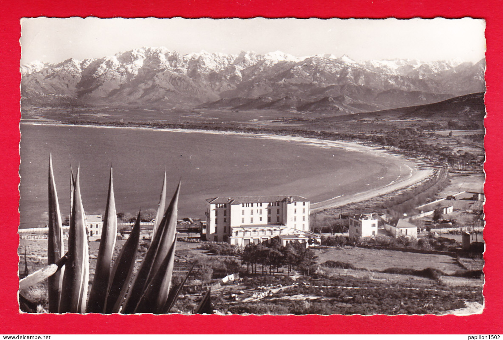 F-20-Calvi-07P41 La Plage Et Le Fond Du Golfe, Type Photo, BE - Calvi