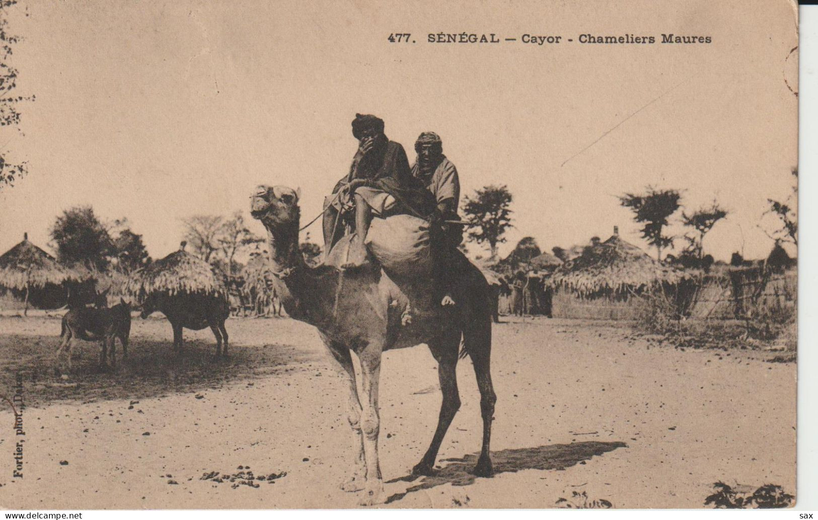 2417-236 Av 1905 N°477 Séné Cayor Chameliers Maures Fortier Photo Dakar   Retrait 12-05 - Sénégal