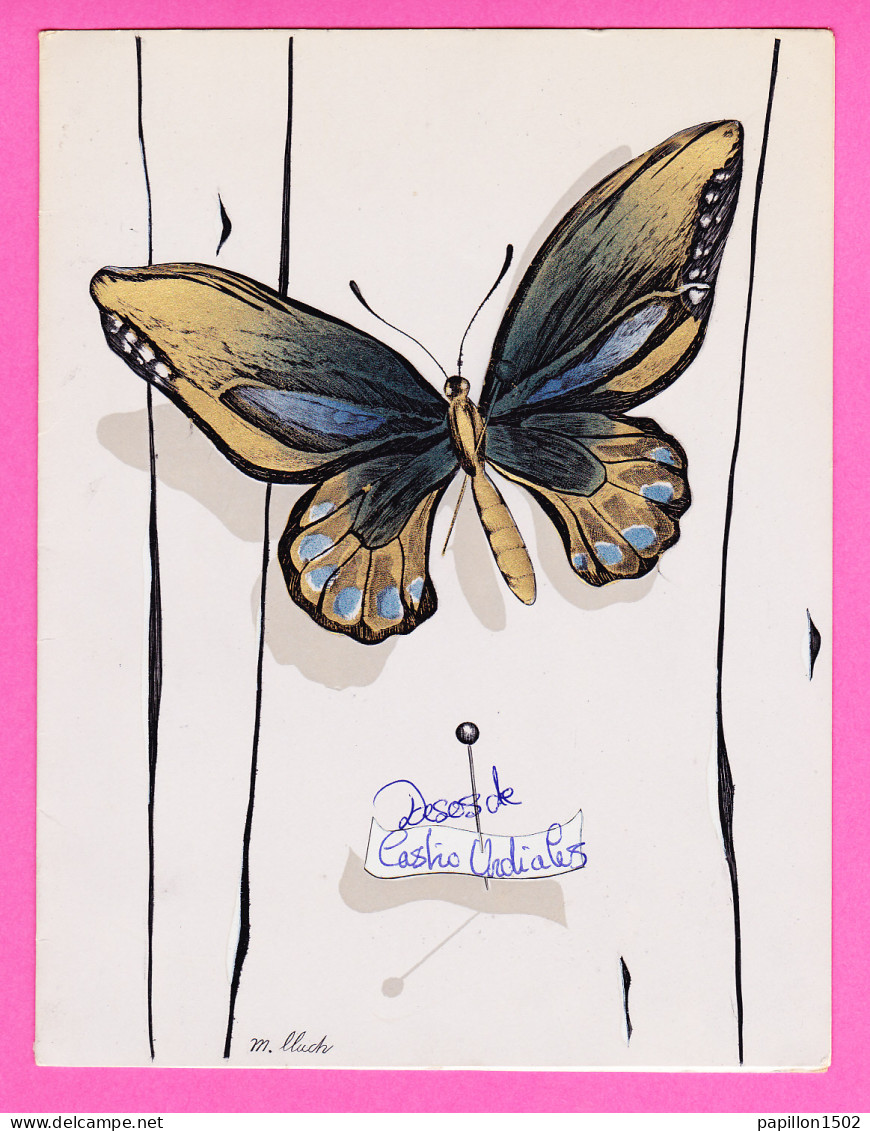 Animaux-219P41 Carte Double Un Superbe Papillon, ""desde CASTRO URDALIES"", BE - Butterflies