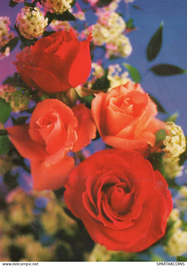 FLOWERS Vintage Postcard CPSM #PAS558.GB - Flowers