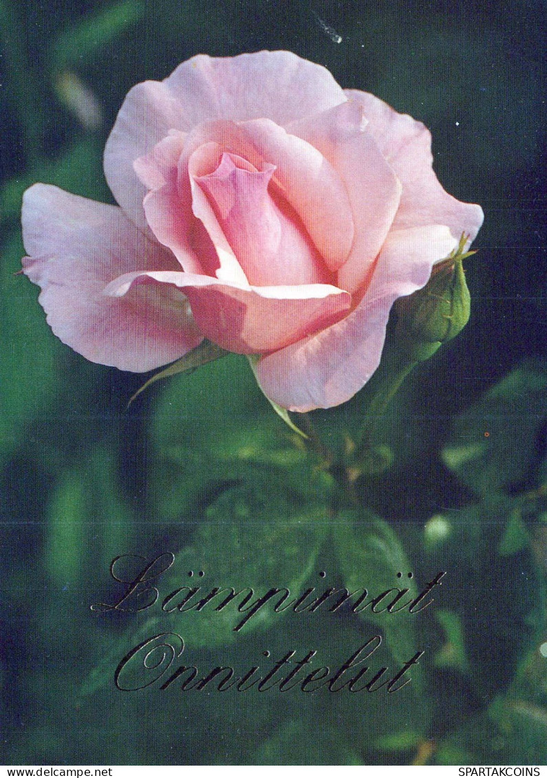 FLOWERS Vintage Postcard CPSM #PAS317.GB - Flores
