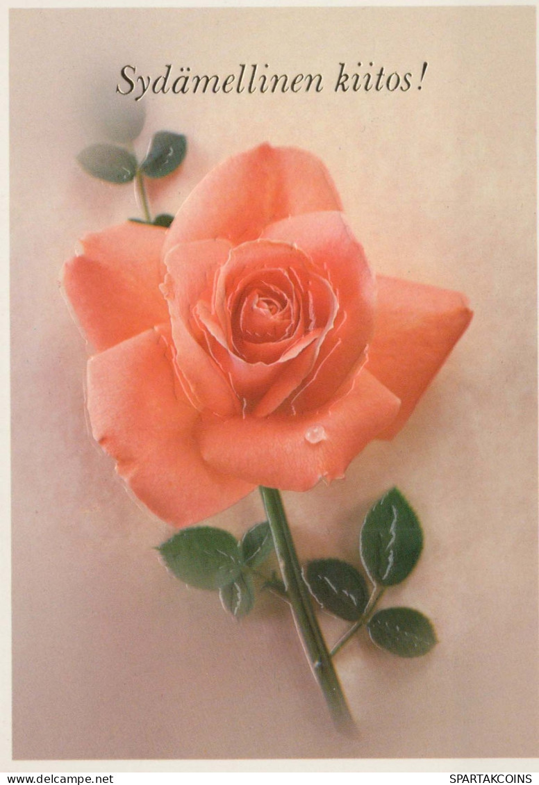 FLOWERS Vintage Postcard CPSM #PAS257.GB - Flowers