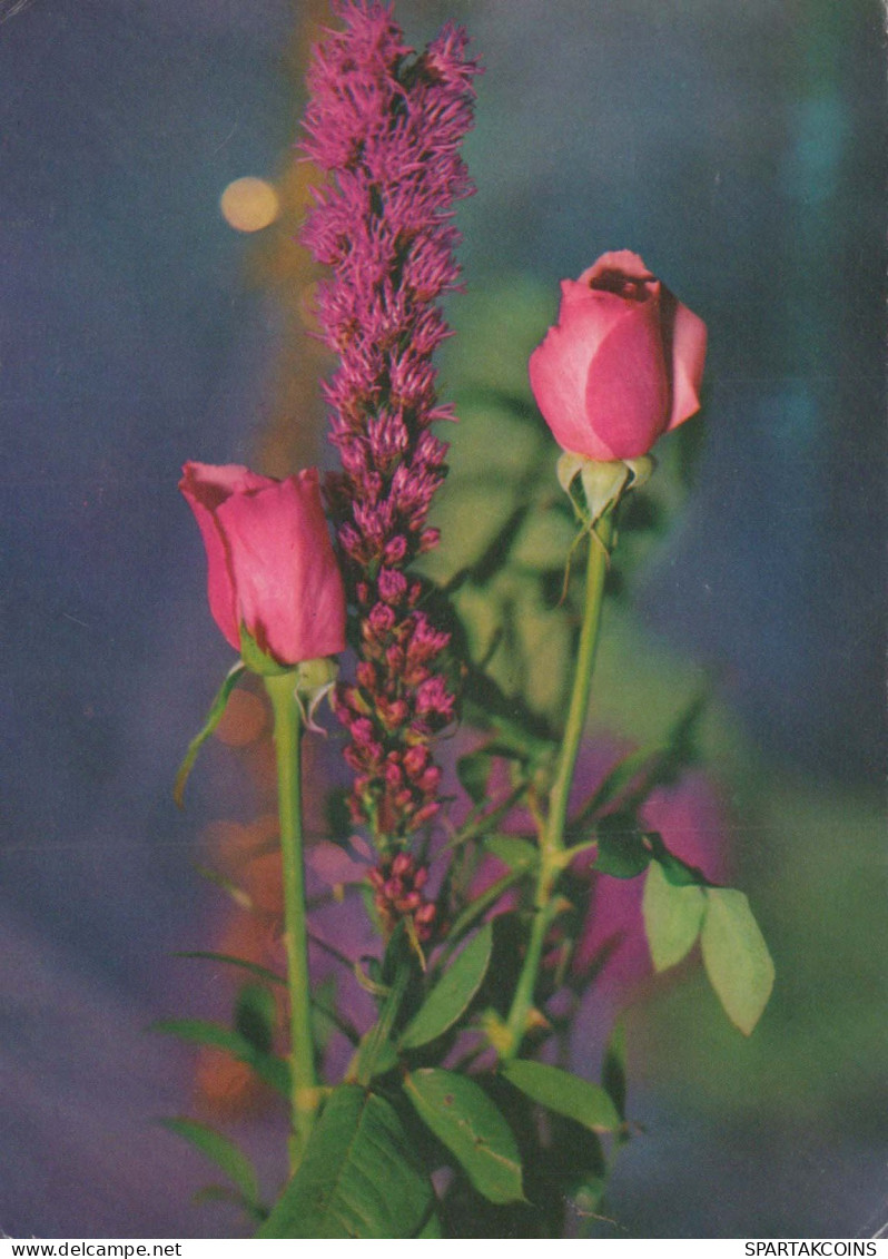 FLOWERS Vintage Postcard CPSM #PAS137.GB - Flowers