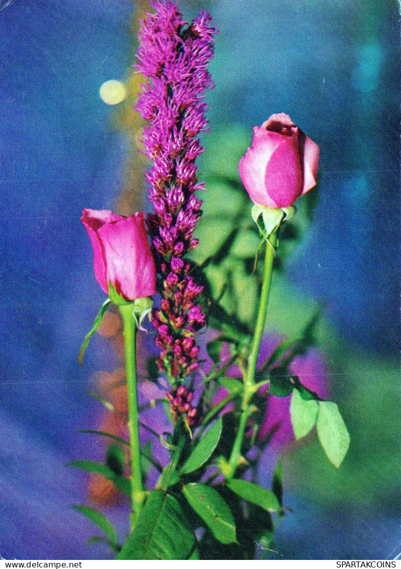 FLOWERS Vintage Postcard CPSM #PAS137.GB - Flowers