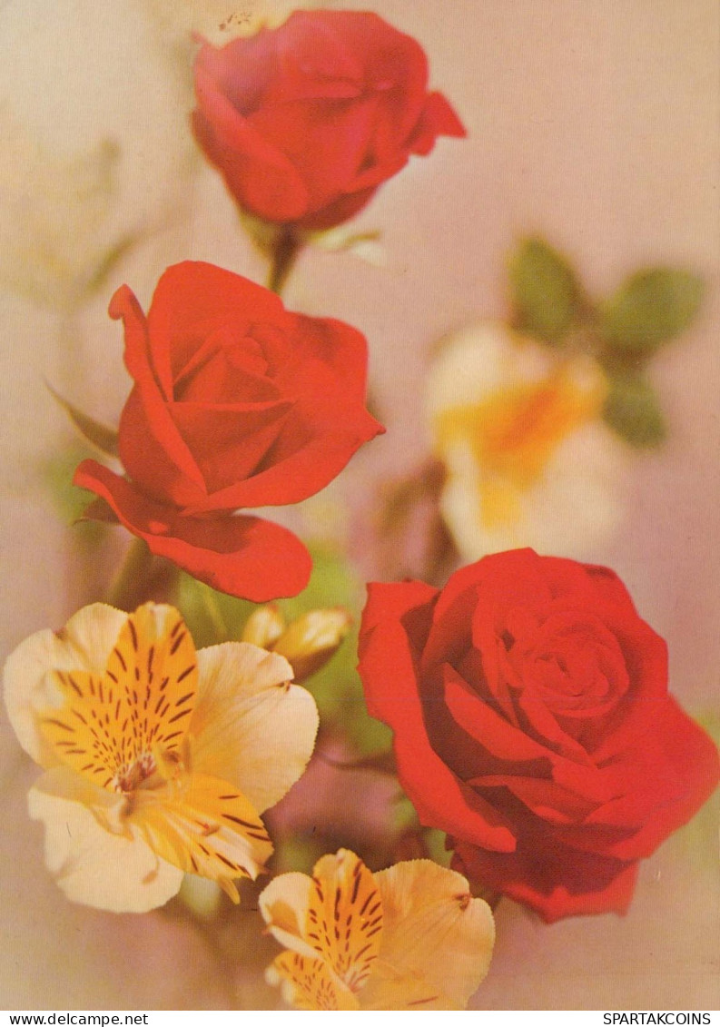 FLOWERS Vintage Postcard CPSM #PAR896.GB - Blumen