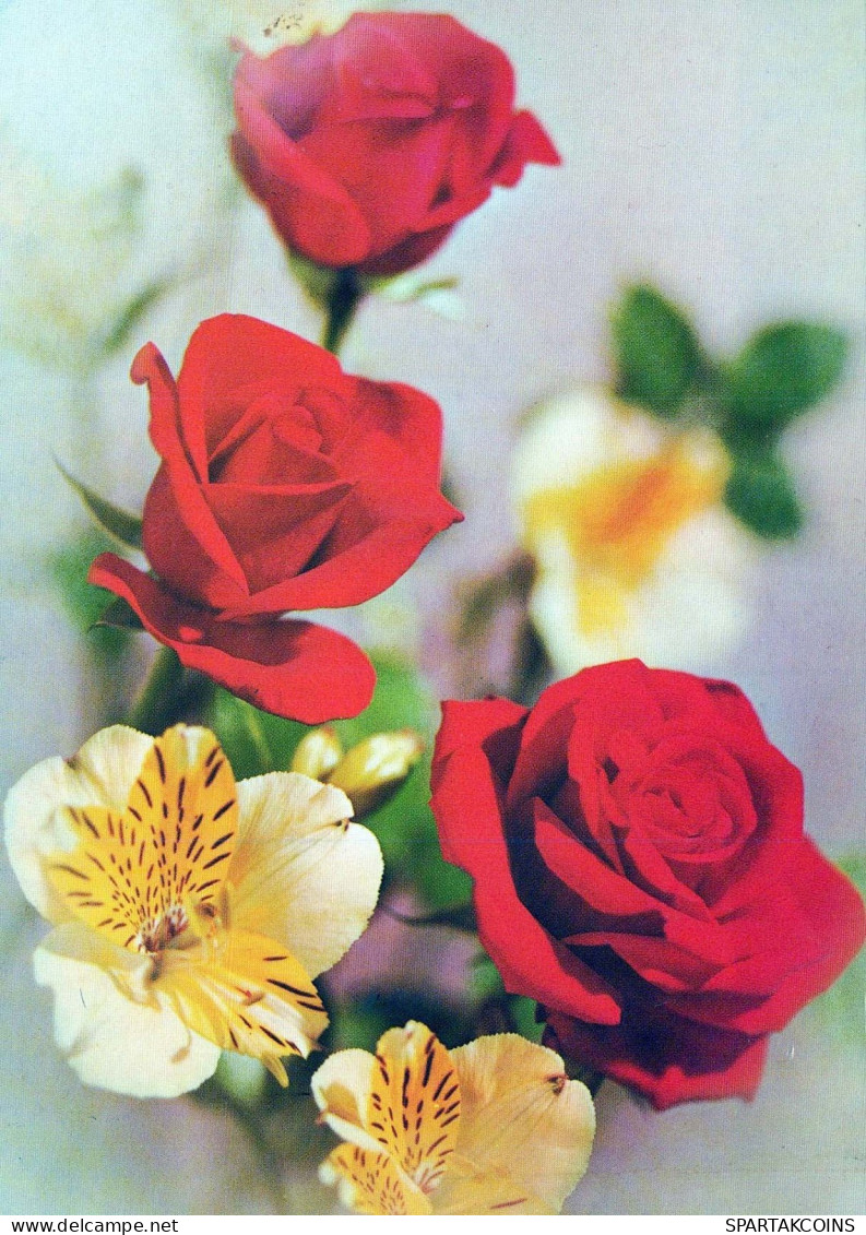 FLOWERS Vintage Postcard CPSM #PAR896.GB - Flores