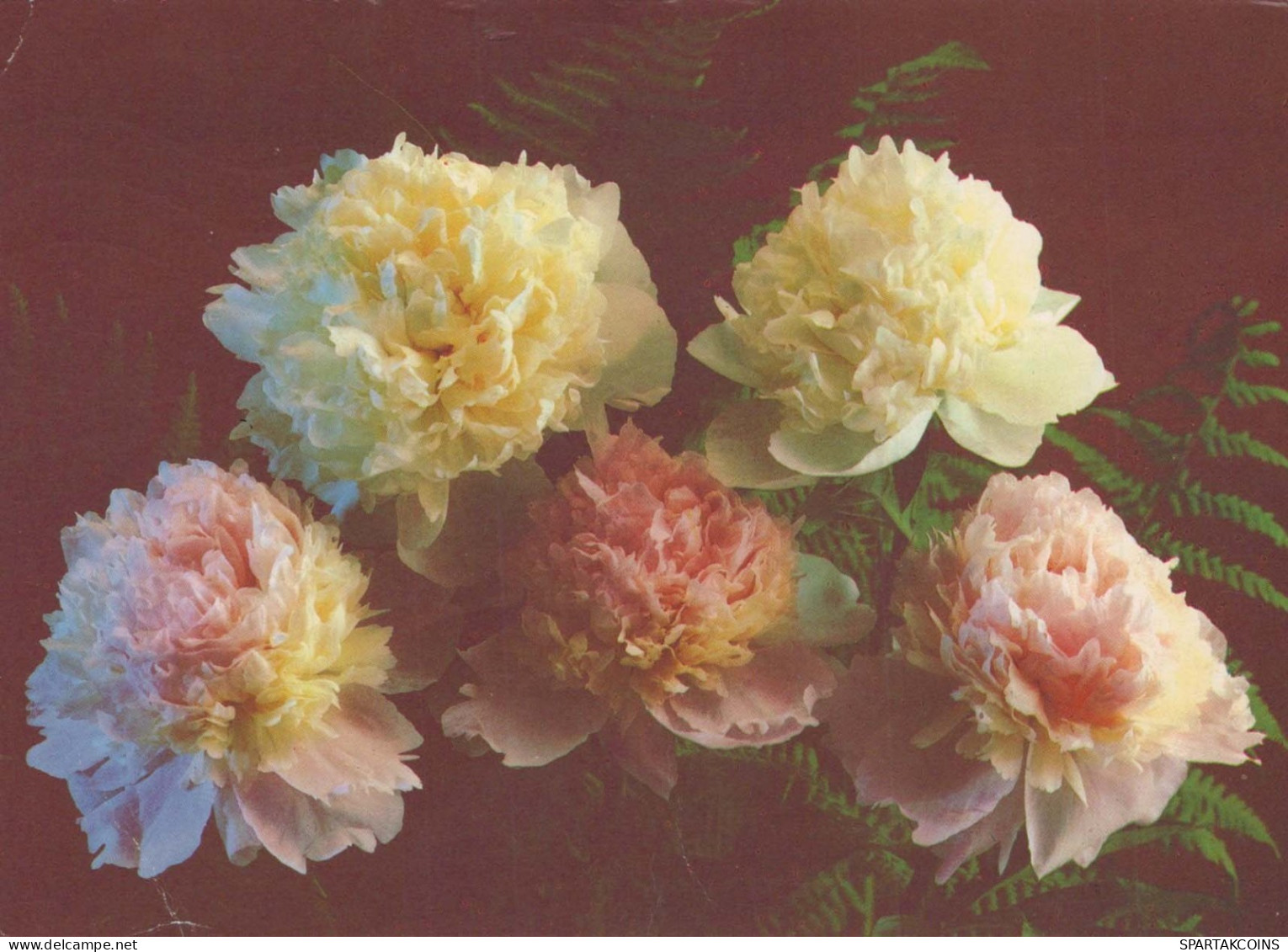 FLOWERS Vintage Postcard CPSM #PAR416.GB - Flowers