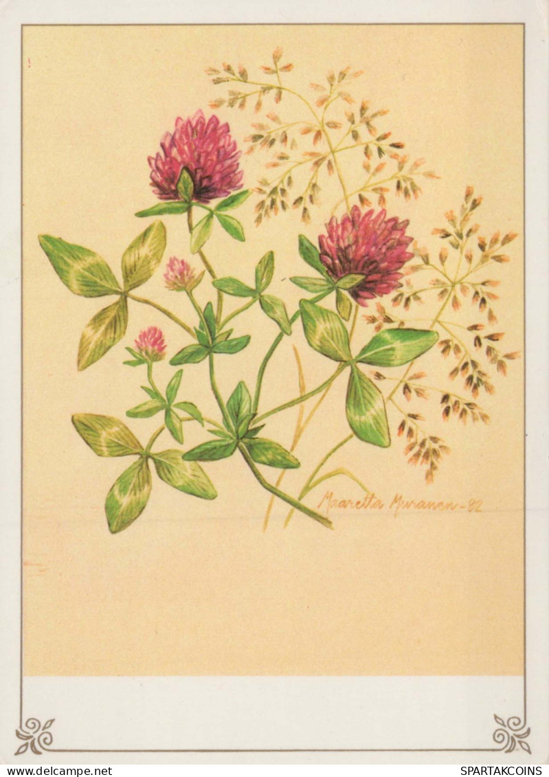 FLOWERS Vintage Postcard CPSM #PAR235.GB - Flores