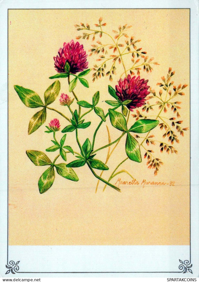 FLOWERS Vintage Postcard CPSM #PAR235.GB - Flowers