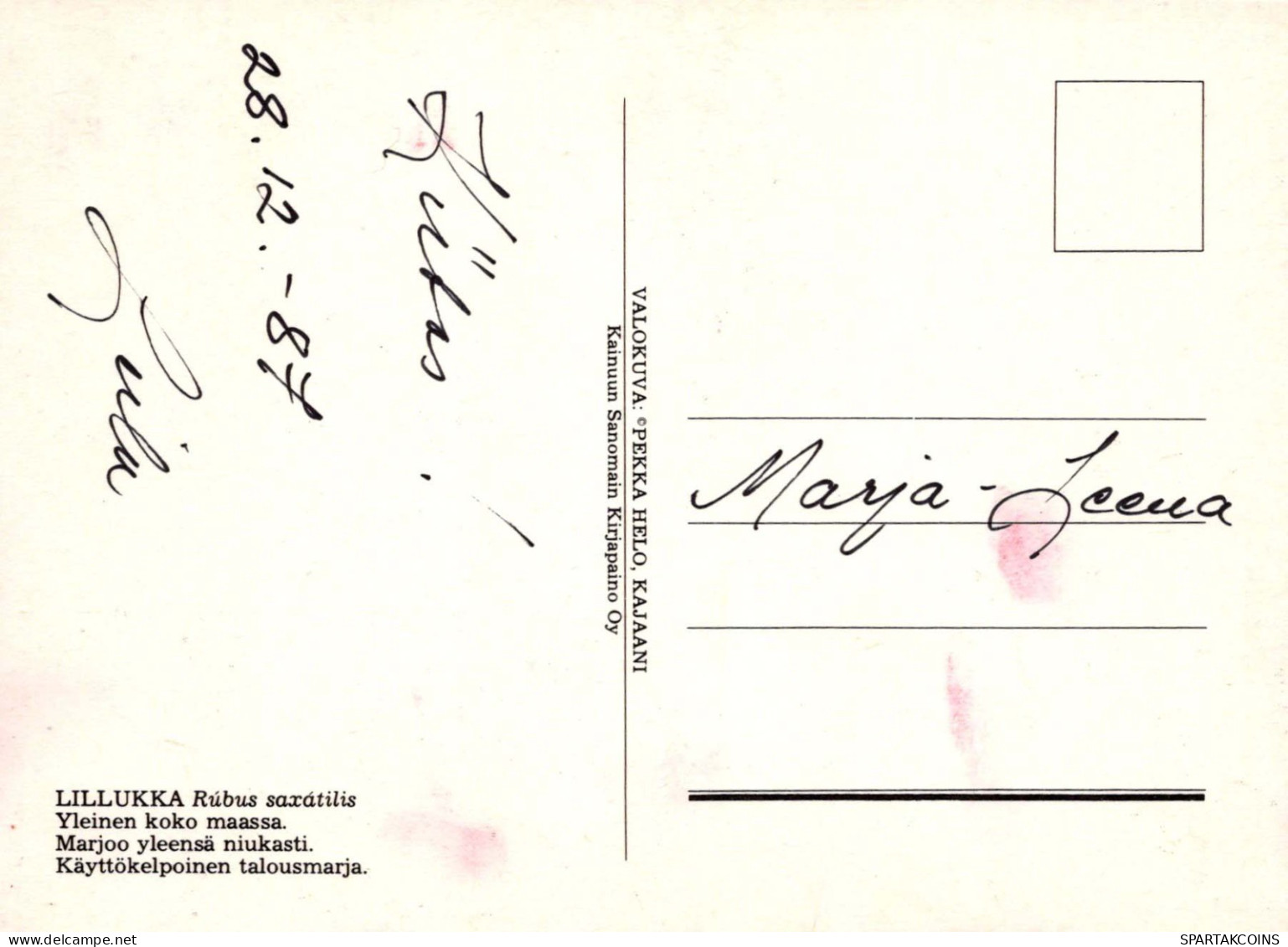 FLORES Vintage Tarjeta Postal CPSM #PAR837.ES - Flowers