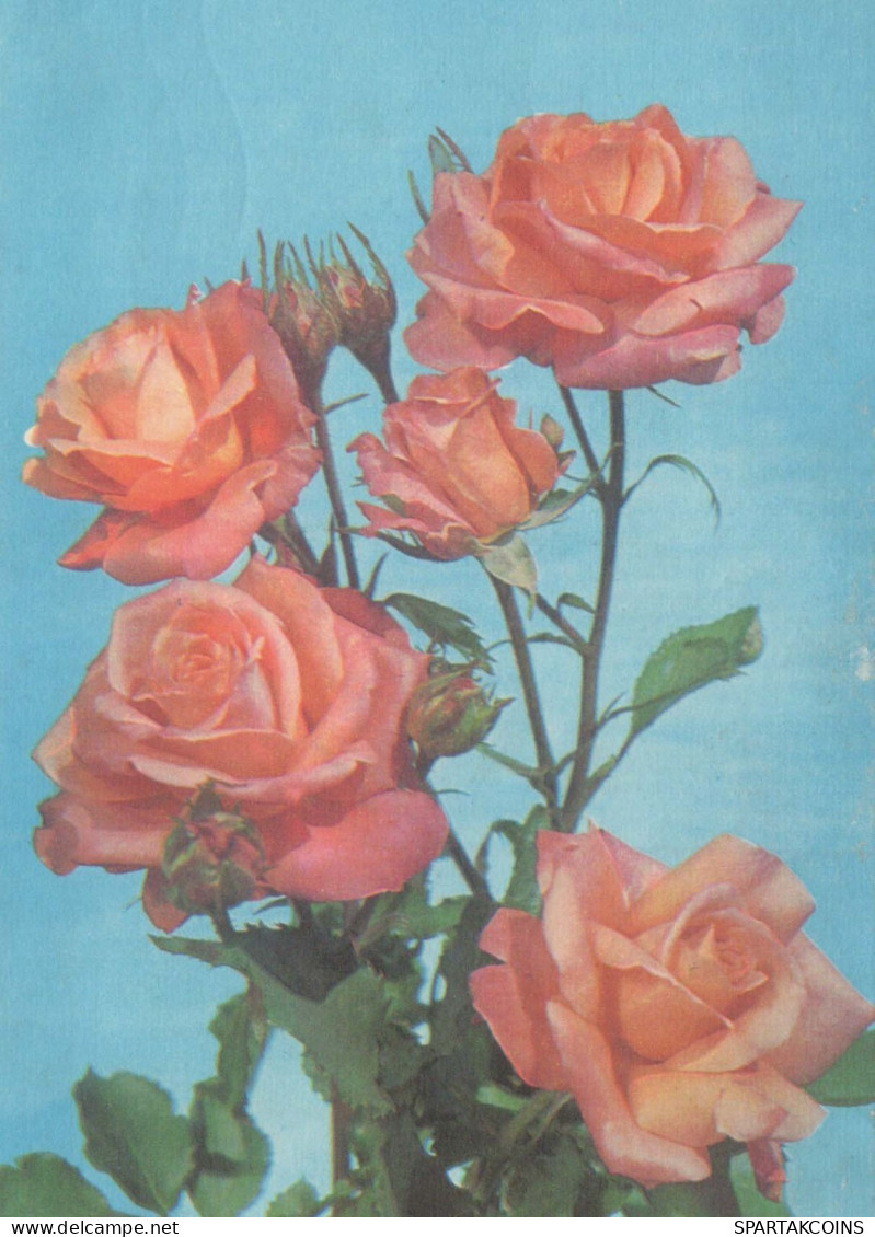 FLORES Vintage Tarjeta Postal CPSM #PAR357.ES - Bloemen