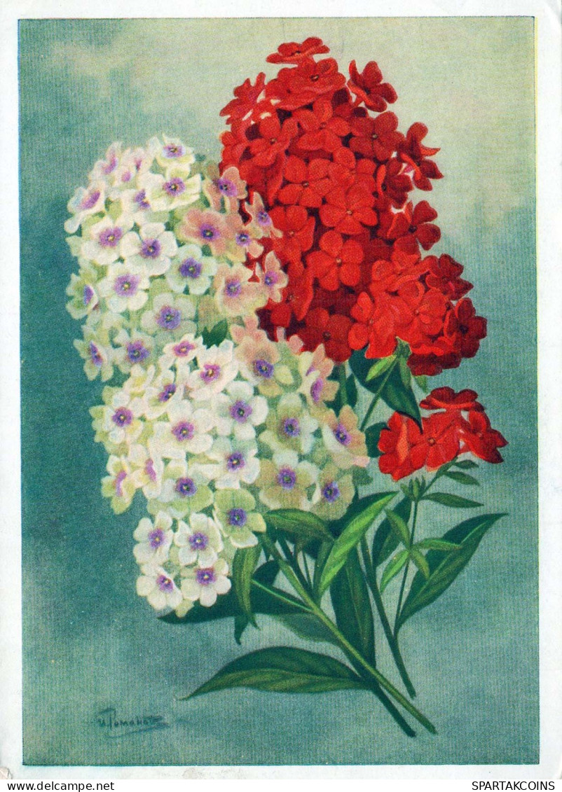 FLORES Vintage Tarjeta Postal CPSM #PAR417.ES - Flores