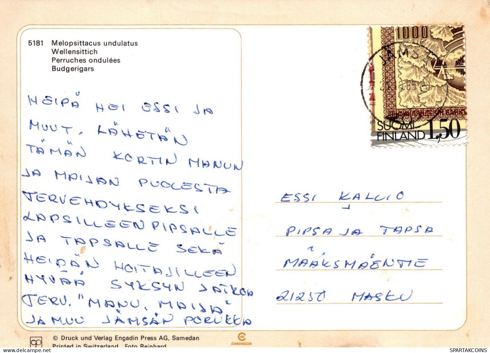 PÁJARO Animales Vintage Tarjeta Postal CPSM #PAN342.ES - Oiseaux