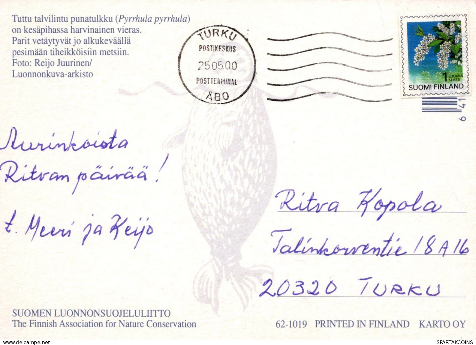 PÁJARO Animales Vintage Tarjeta Postal CPSM #PAN157.ES - Oiseaux