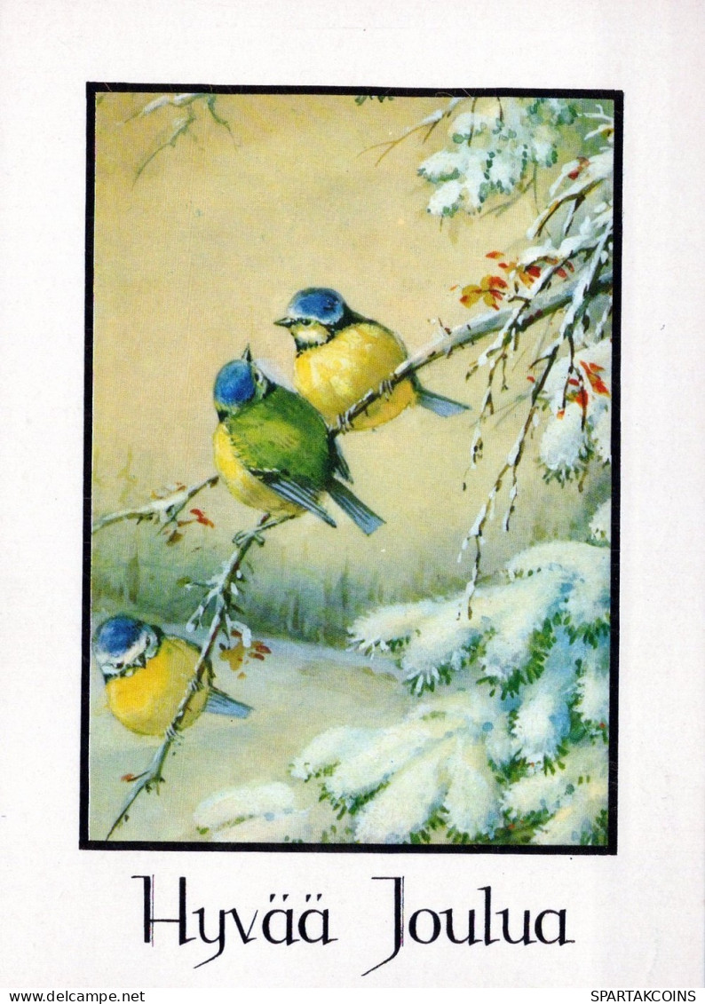 PÁJARO Animales Vintage Tarjeta Postal CPSM #PAM973.ES - Oiseaux