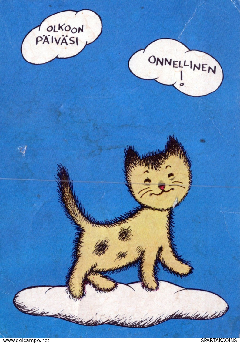 GATO GATITO Animales Vintage Tarjeta Postal CPSM #PAM280.ES - Chats