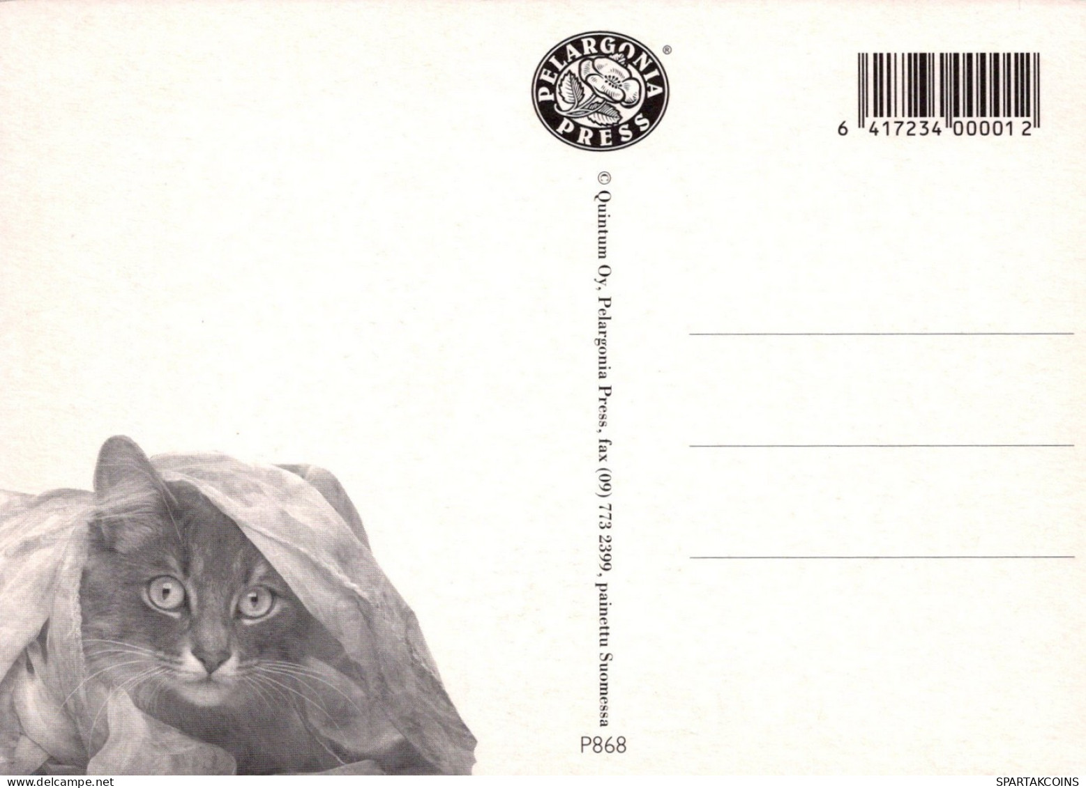 GATO GATITO Animales Vintage Tarjeta Postal CPSM #PAM471.ES - Chats