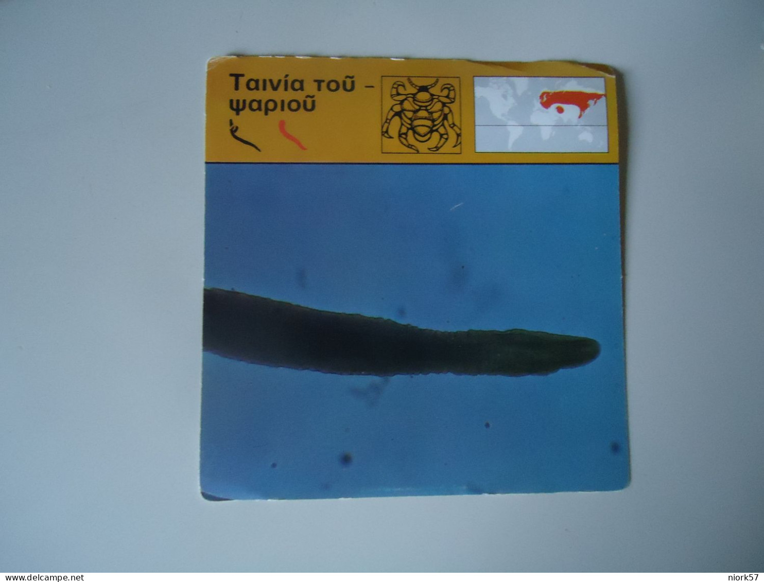 GREECE POSTCARDS PAPER FISHES - Pesci E Crostacei