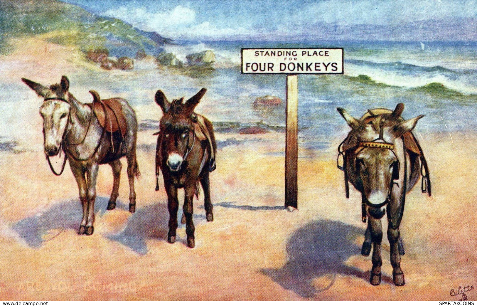 DONKEY Animals Vintage Antique Old CPA Postcard #PAA129.GB - Donkeys