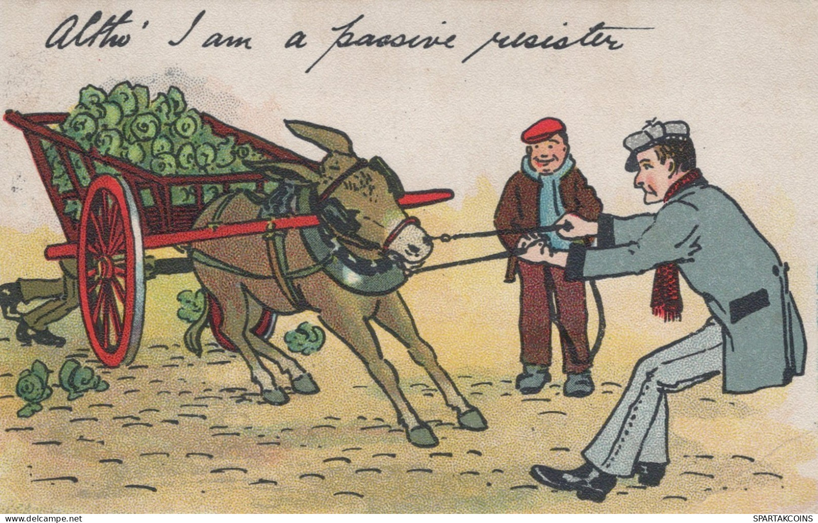 DONKEY Animals Vintage Antique Old CPA Postcard #PAA300.GB - Donkeys