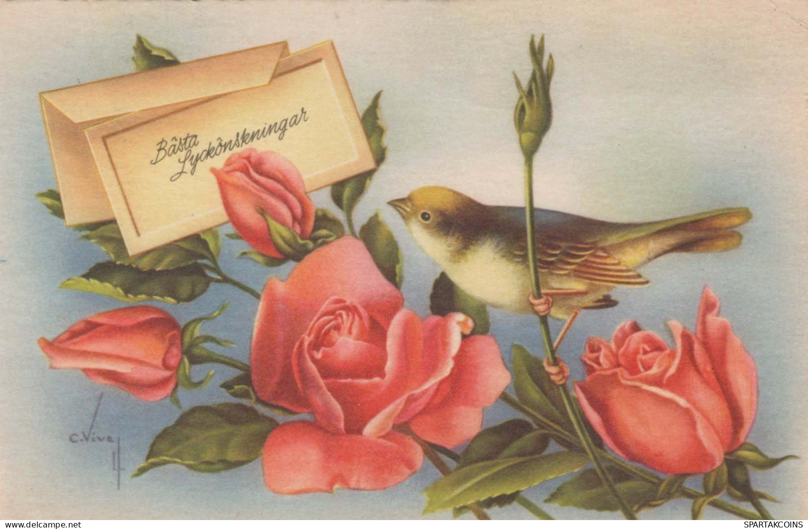 FLOWERS Vintage Postcard CPSMPF #PKG082.GB - Fleurs