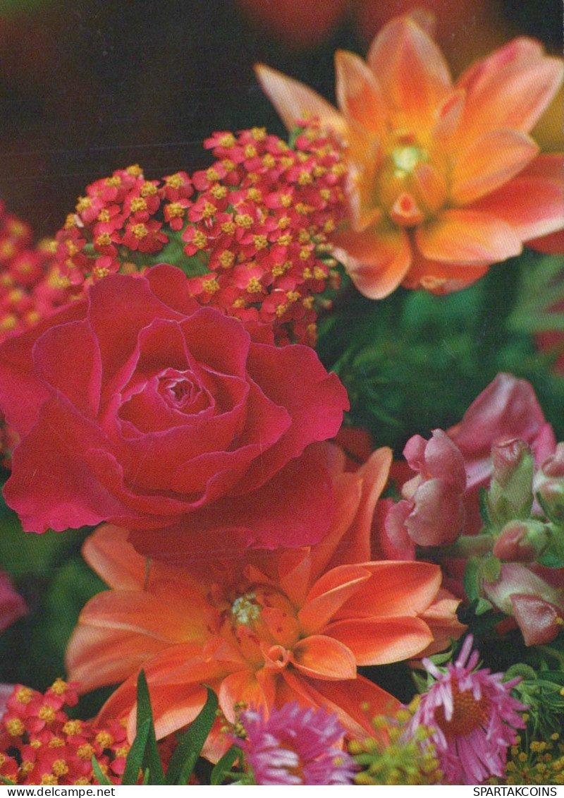 FLOWERS Vintage Postcard CPSM #PBZ664.GB - Bloemen