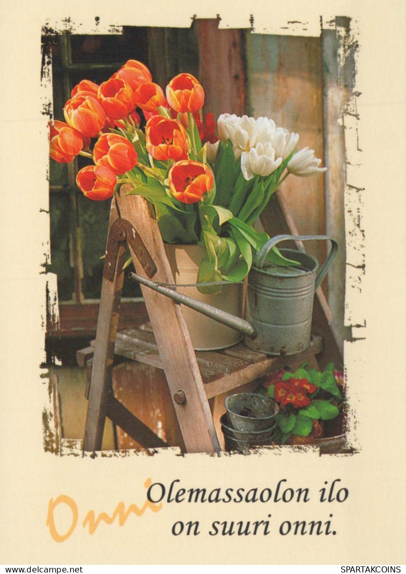 FLOWERS Vintage Postcard CPSM #PBZ484.GB - Flowers