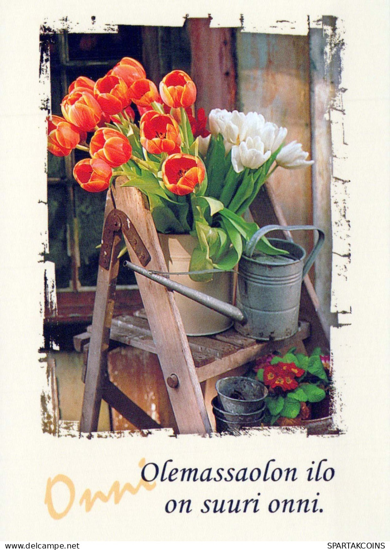 FLOWERS Vintage Postcard CPSM #PBZ484.GB - Fleurs