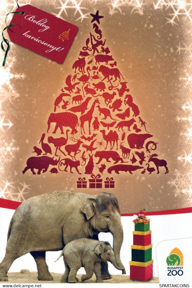 ELEPHANT Animals Vintage Postcard CPSM #PBS769.GB - Elephants