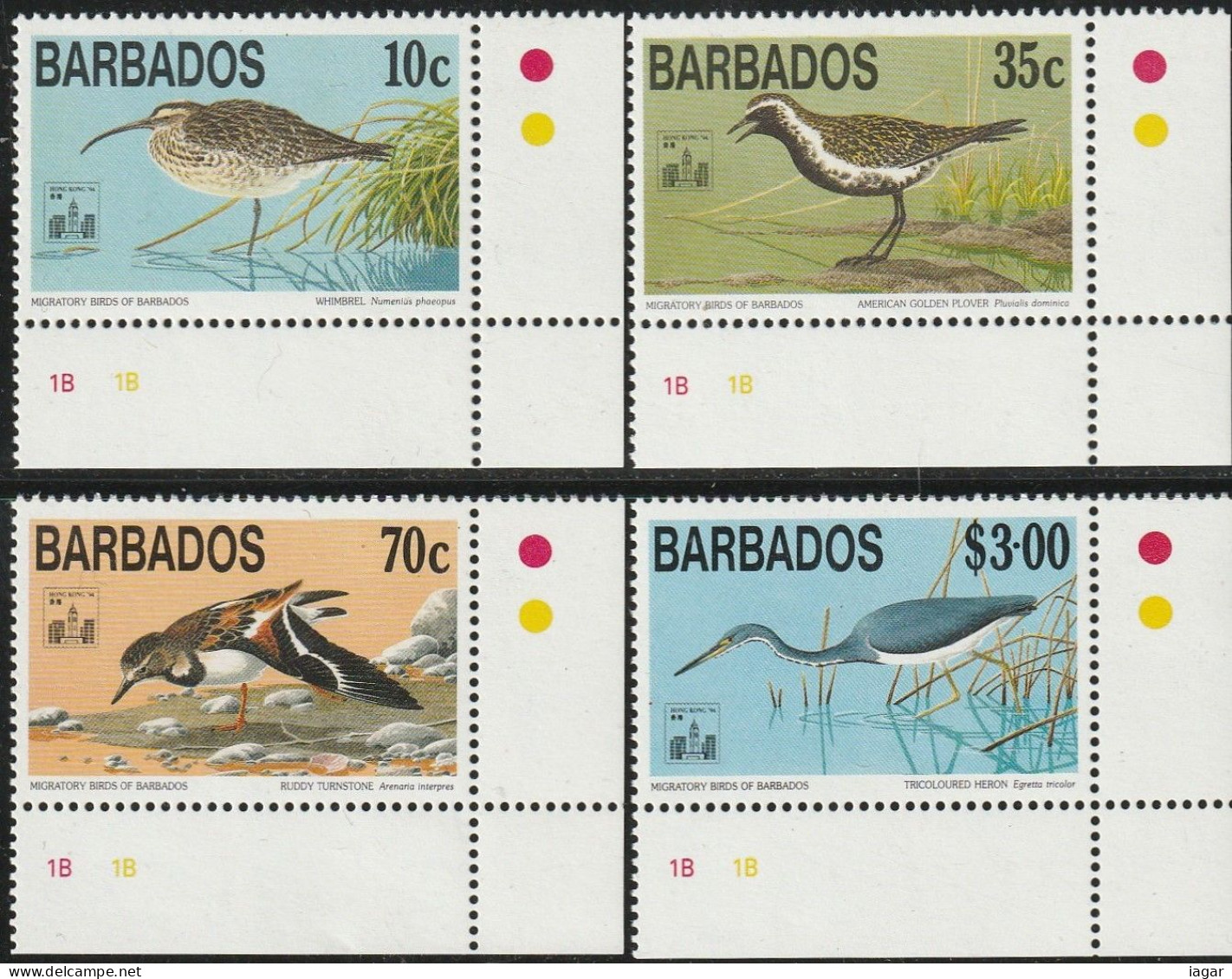 THEMATIC FAUNA: MIGRATORY BIRDS. WHIMBREL, PACIFIC GOLDEN PLOVER, RUDDY TURNSTONE, LOUISIANA HERON    -    BARBADOS - Andere & Zonder Classificatie