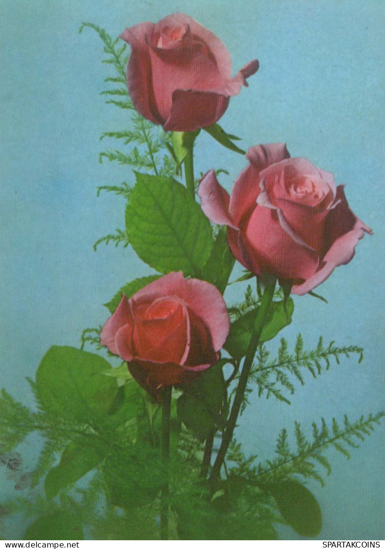 FLEURS Vintage Carte Postale CPSM #PAR958.FR - Fleurs