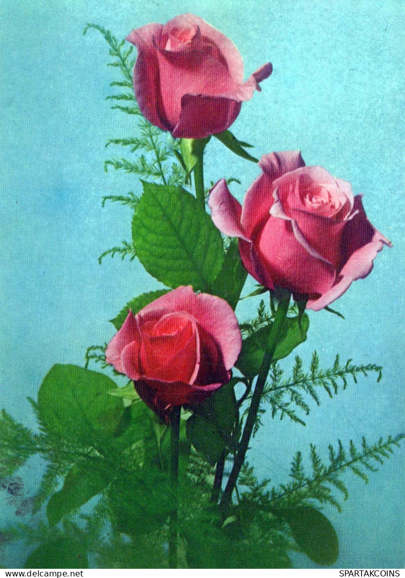 FLEURS Vintage Carte Postale CPSM #PAR958.FR - Fleurs