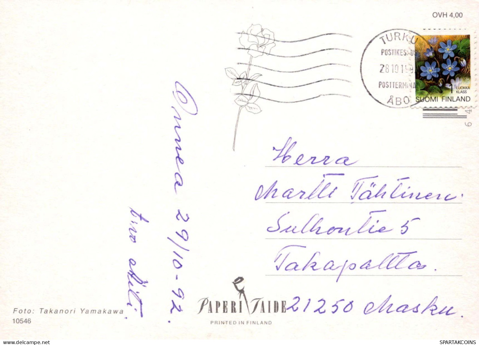 FLEURS Vintage Carte Postale CPSM #PAS259.FR - Fleurs