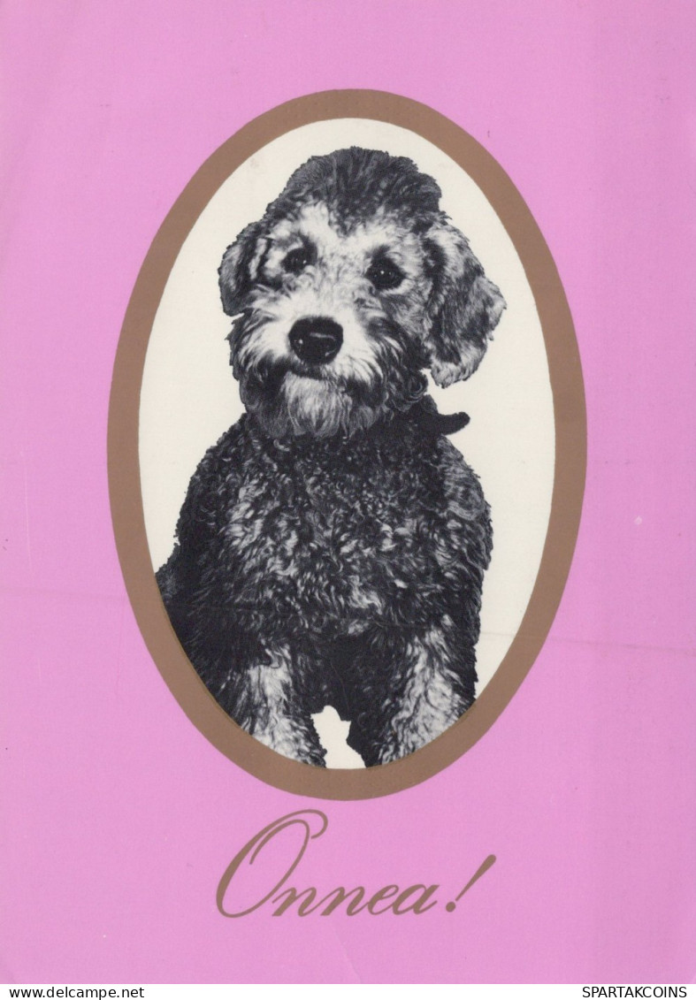 CHIEN Animaux Vintage Carte Postale CPSM #PAN933.FR - Chiens