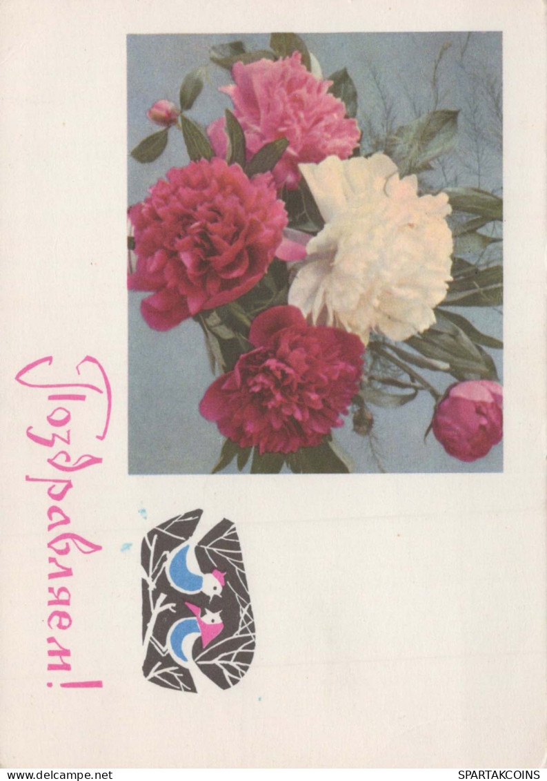 FLEURS Vintage Carte Postale CPSM #PAR418.FR - Blumen