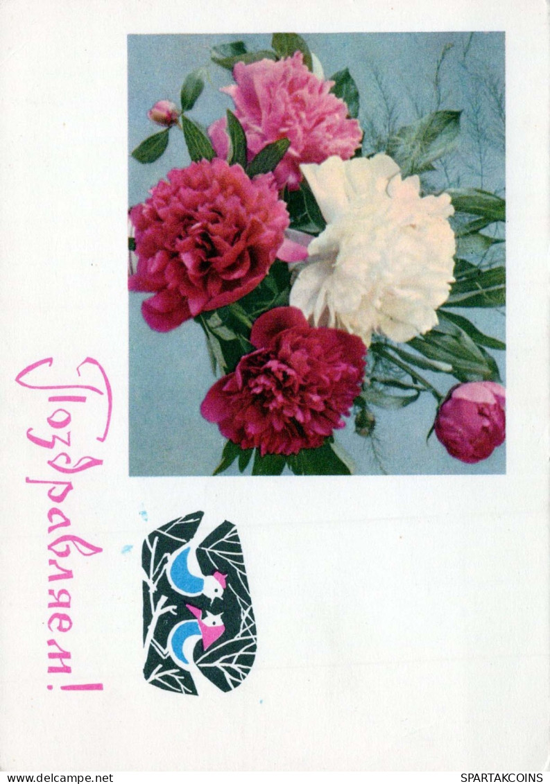 FLEURS Vintage Carte Postale CPSM #PAR418.FR - Flowers