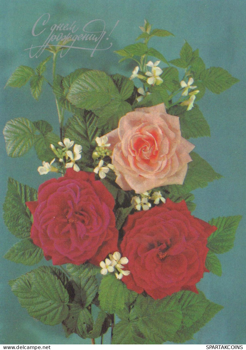 FLEURS Vintage Carte Postale CPSM #PAR358.FR - Fiori