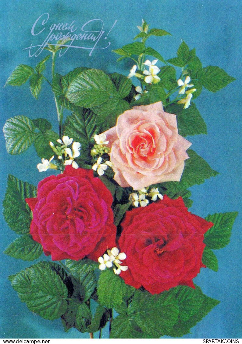 FLEURS Vintage Carte Postale CPSM #PAR358.FR - Fiori