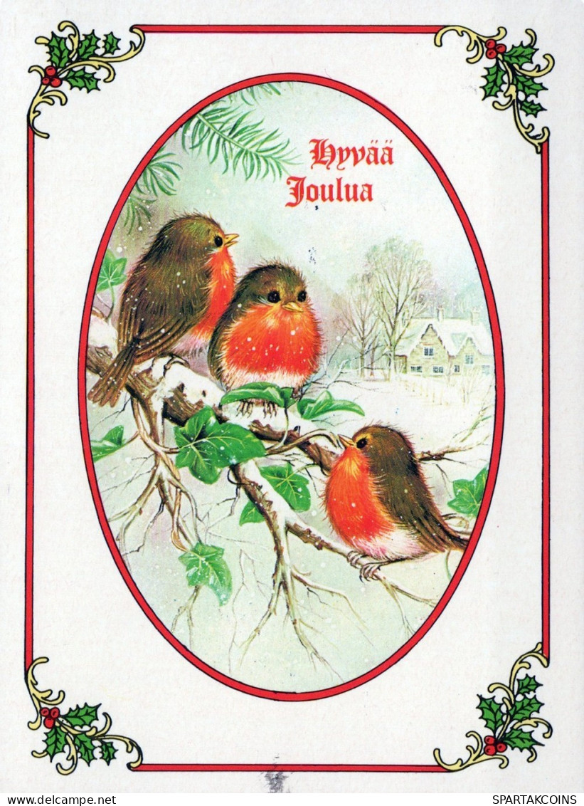 OISEAU Animaux Vintage Carte Postale CPSM #PAM911.FR - Birds